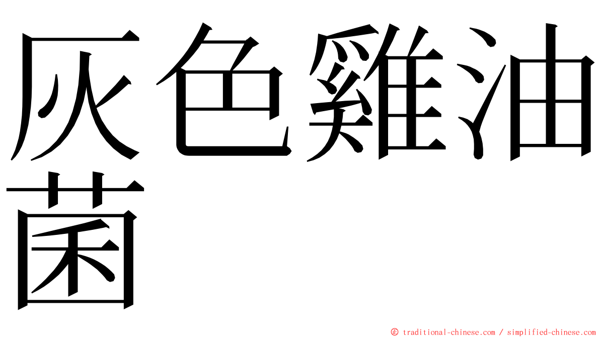 灰色雞油菌 ming font