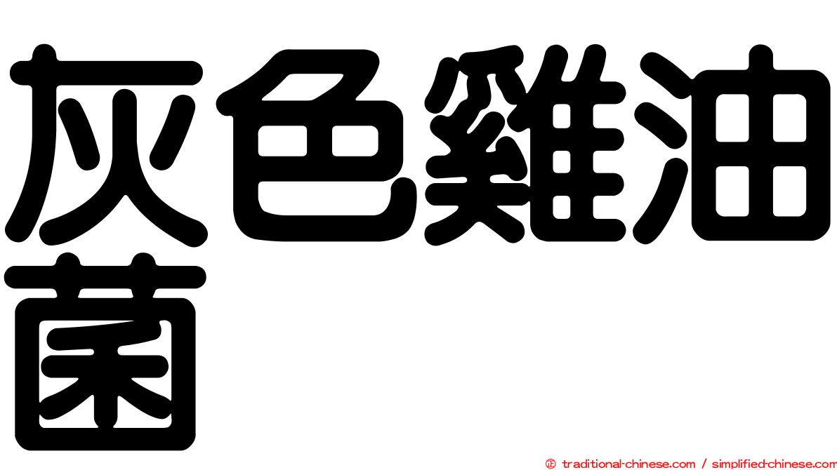灰色雞油菌
