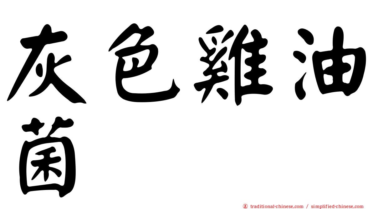 灰色雞油菌