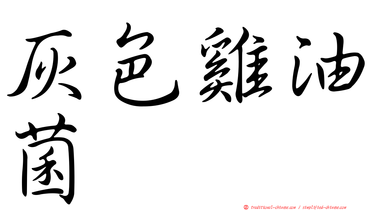 灰色雞油菌