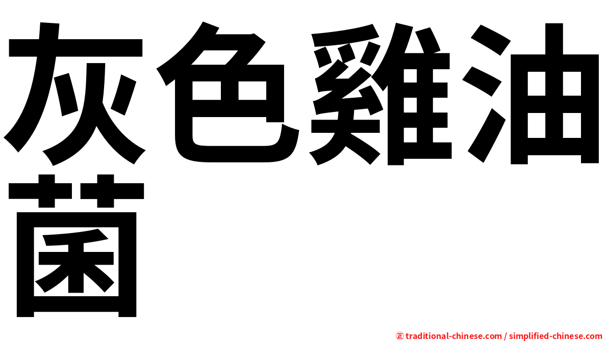 灰色雞油菌