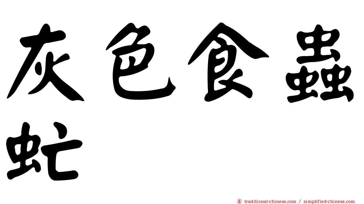 灰色食蟲虻