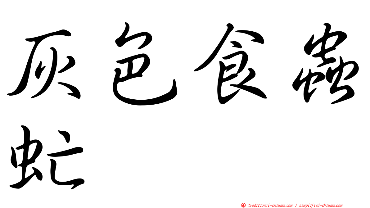 灰色食蟲虻