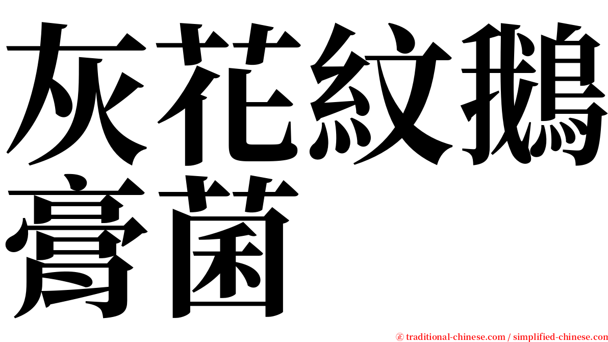 灰花紋鵝膏菌 serif font