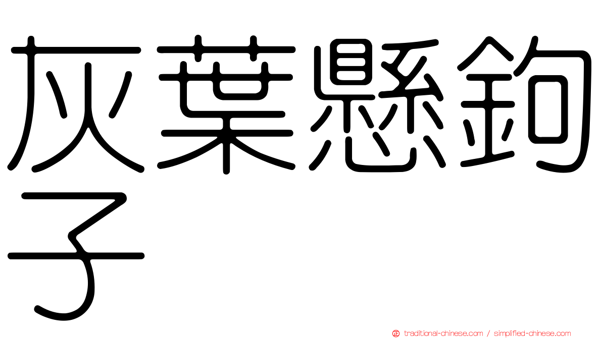 灰葉懸鉤子