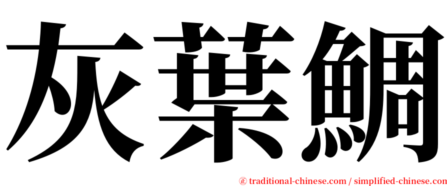 灰葉鯛 serif font