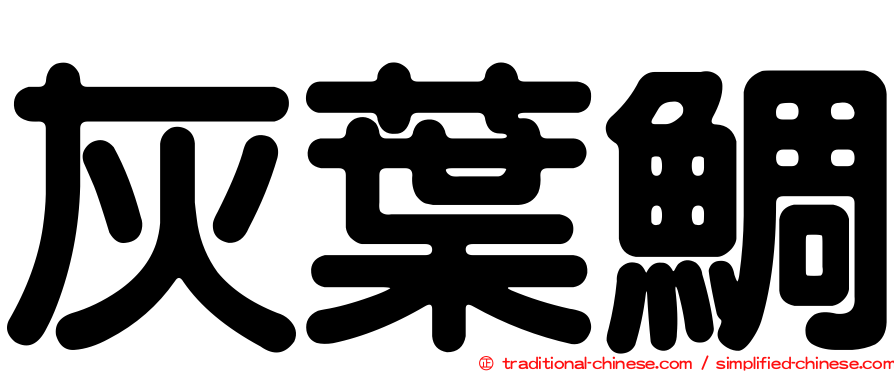灰葉鯛