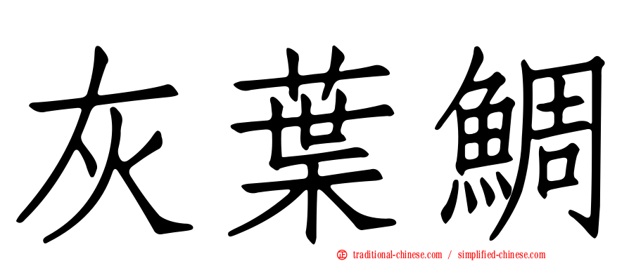 灰葉鯛
