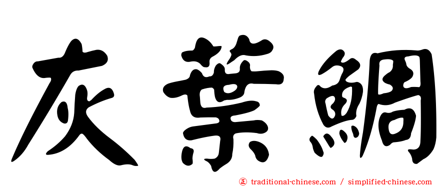 灰葉鯛