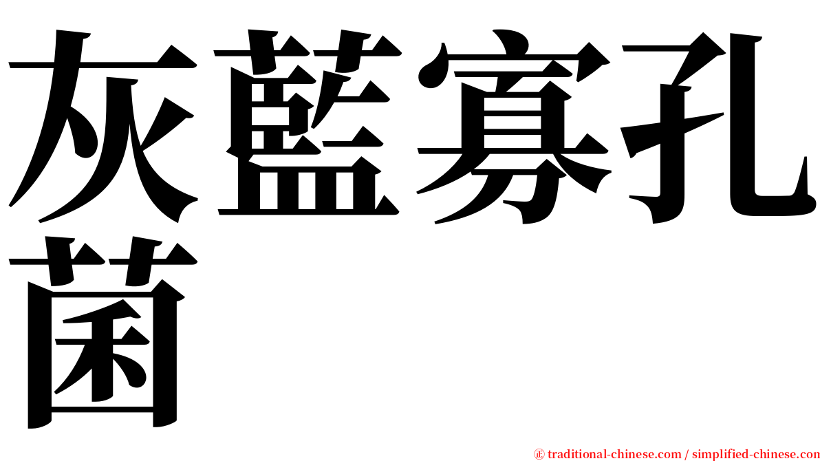 灰藍寡孔菌 serif font