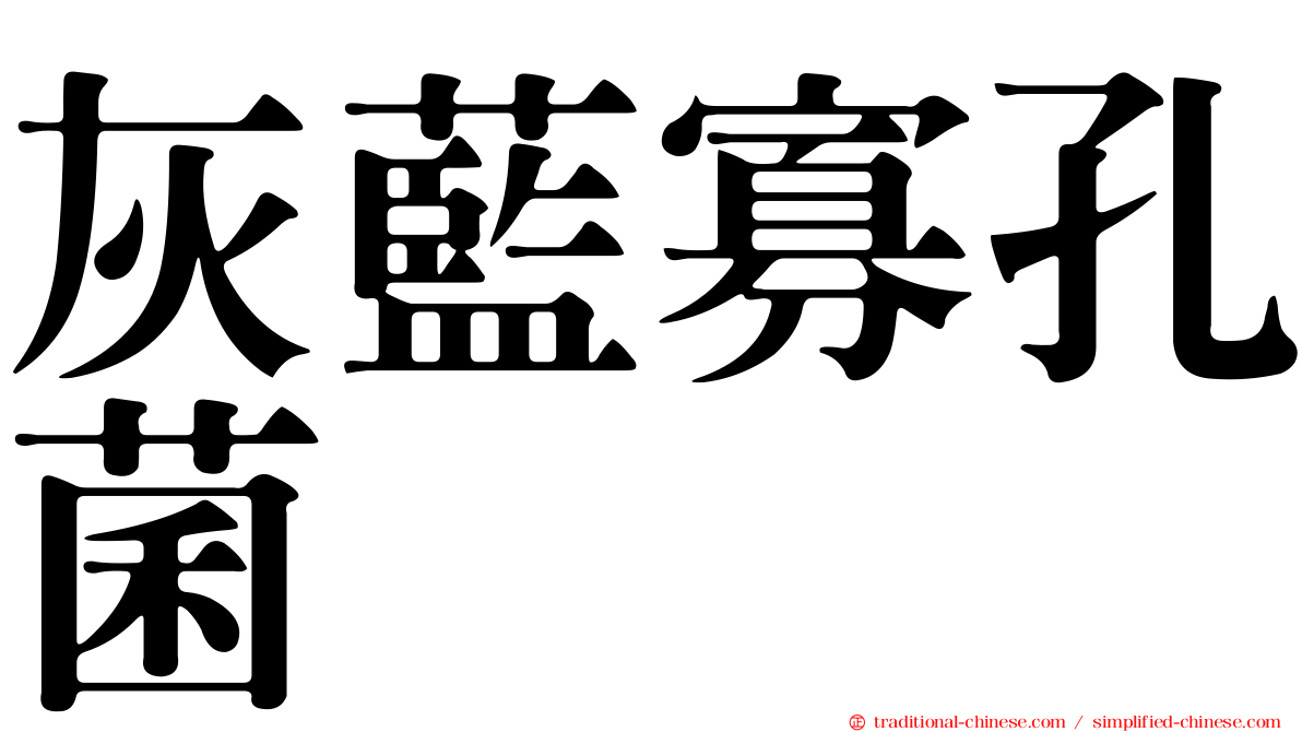 灰藍寡孔菌