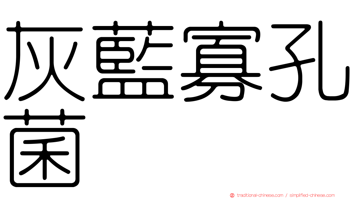 灰藍寡孔菌