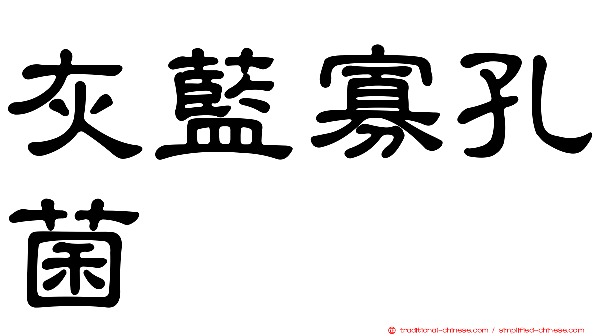 灰藍寡孔菌
