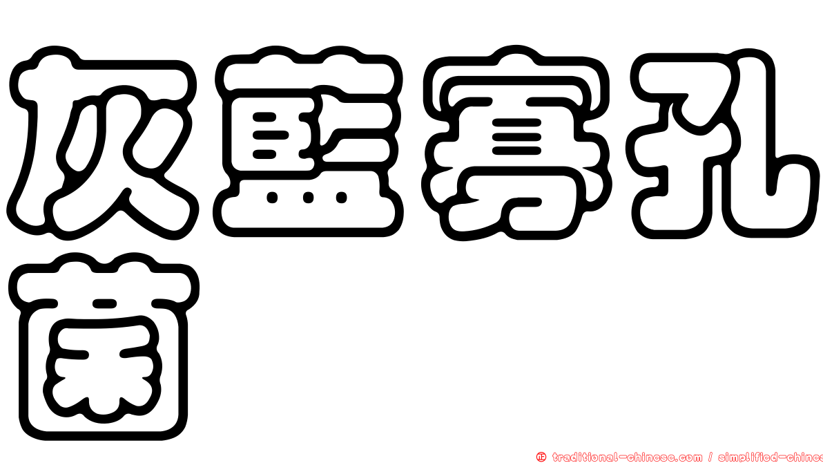 灰藍寡孔菌