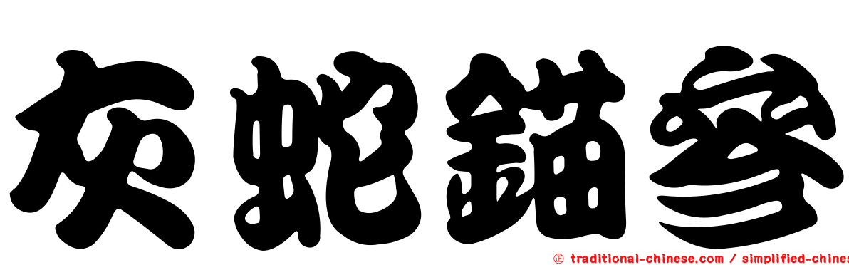 灰蛇錨參