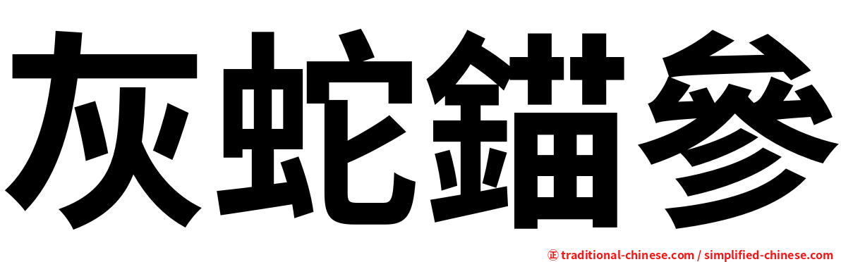 灰蛇錨參