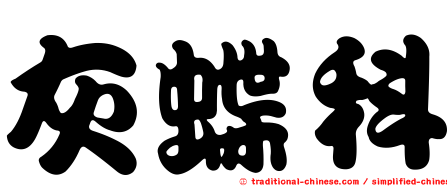 灰蝶科