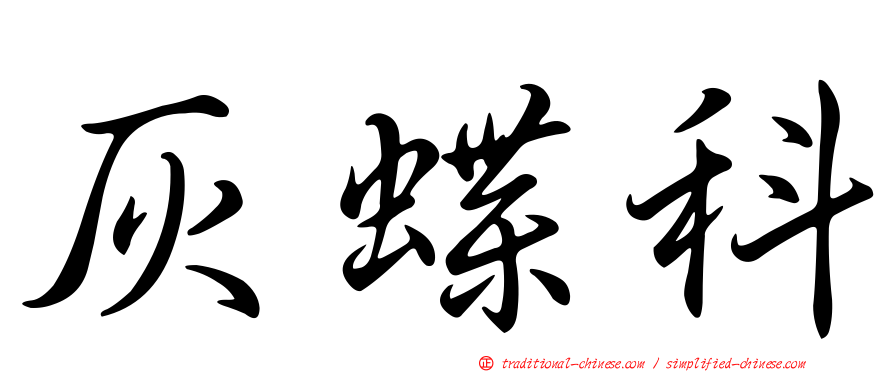 灰蝶科