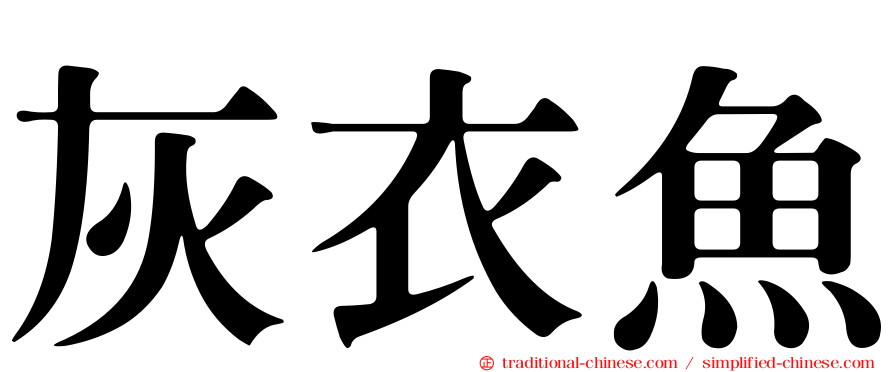 灰衣魚