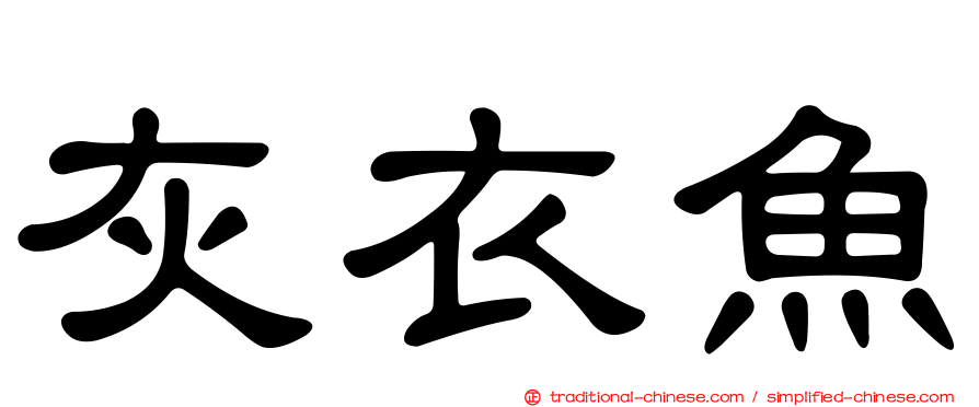 灰衣魚