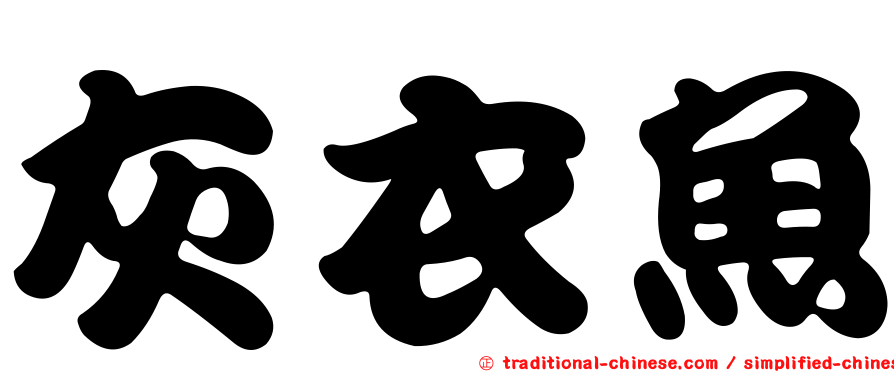 灰衣魚