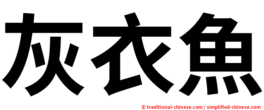 灰衣魚