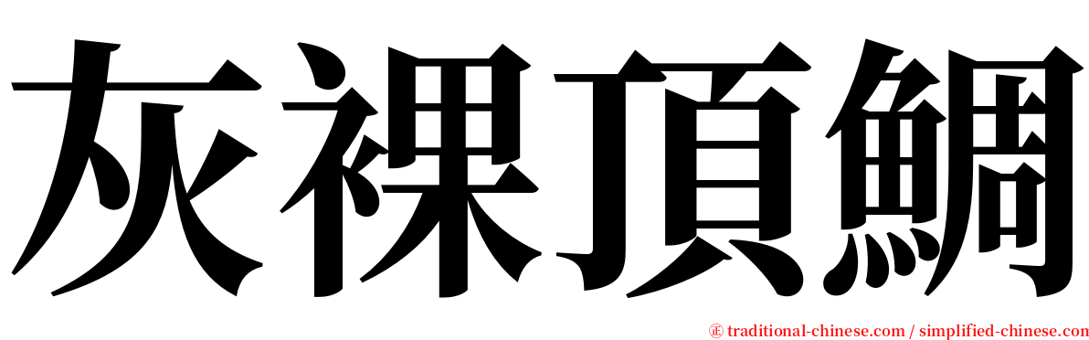 灰裸頂鯛 serif font