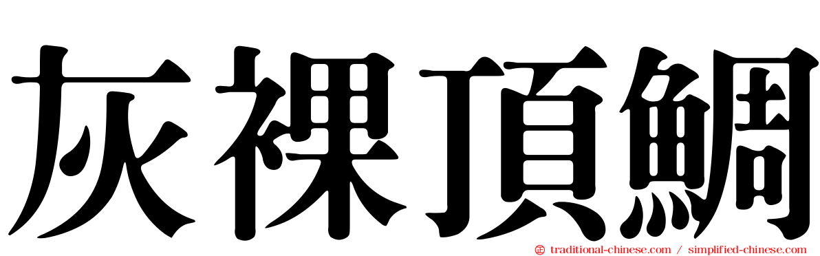 灰裸頂鯛