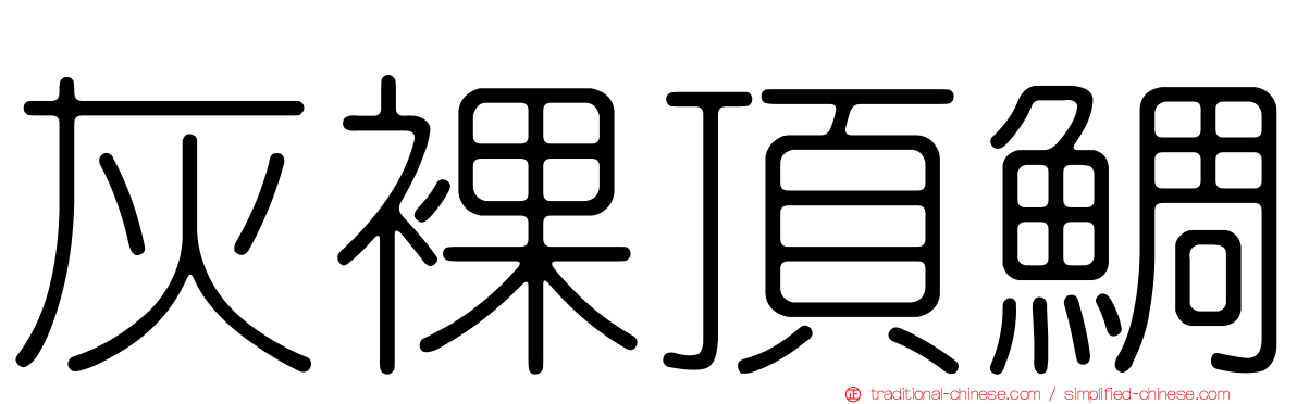 灰裸頂鯛