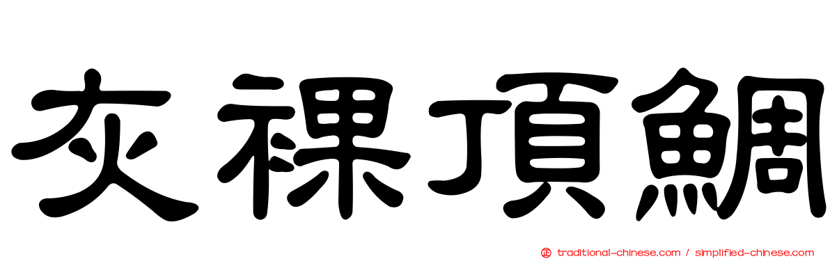 灰裸頂鯛