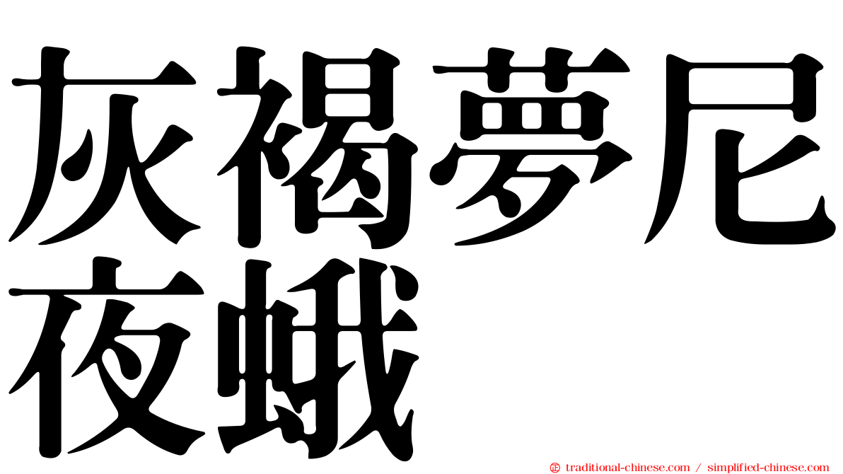 灰褐夢尼夜蛾