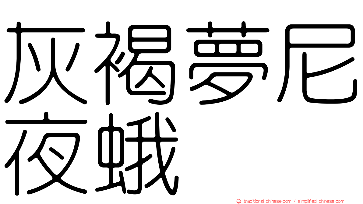 灰褐夢尼夜蛾