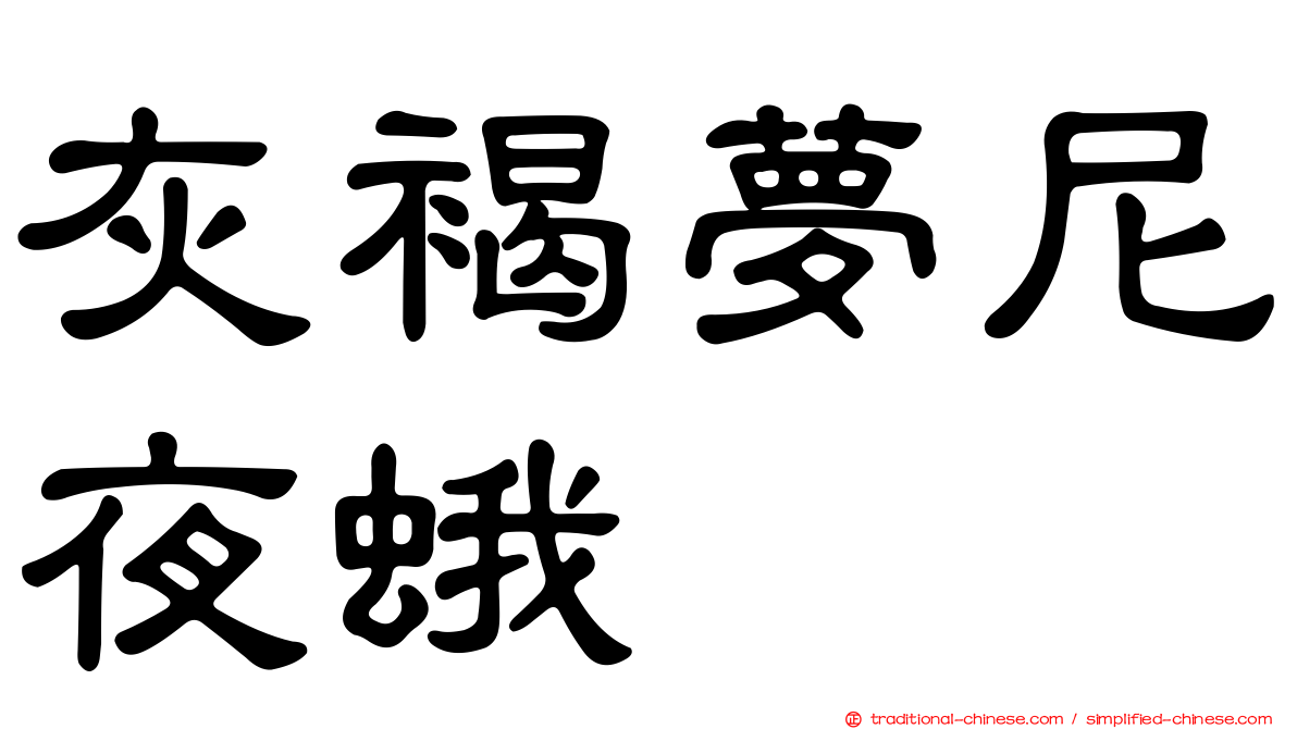 灰褐夢尼夜蛾