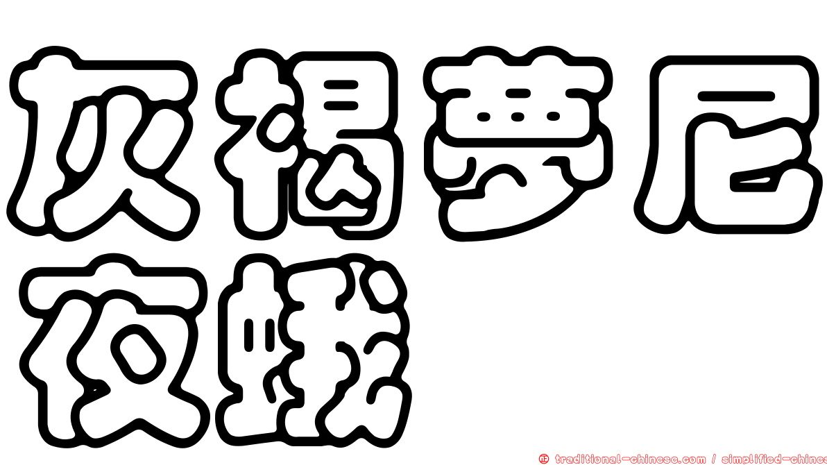 灰褐夢尼夜蛾