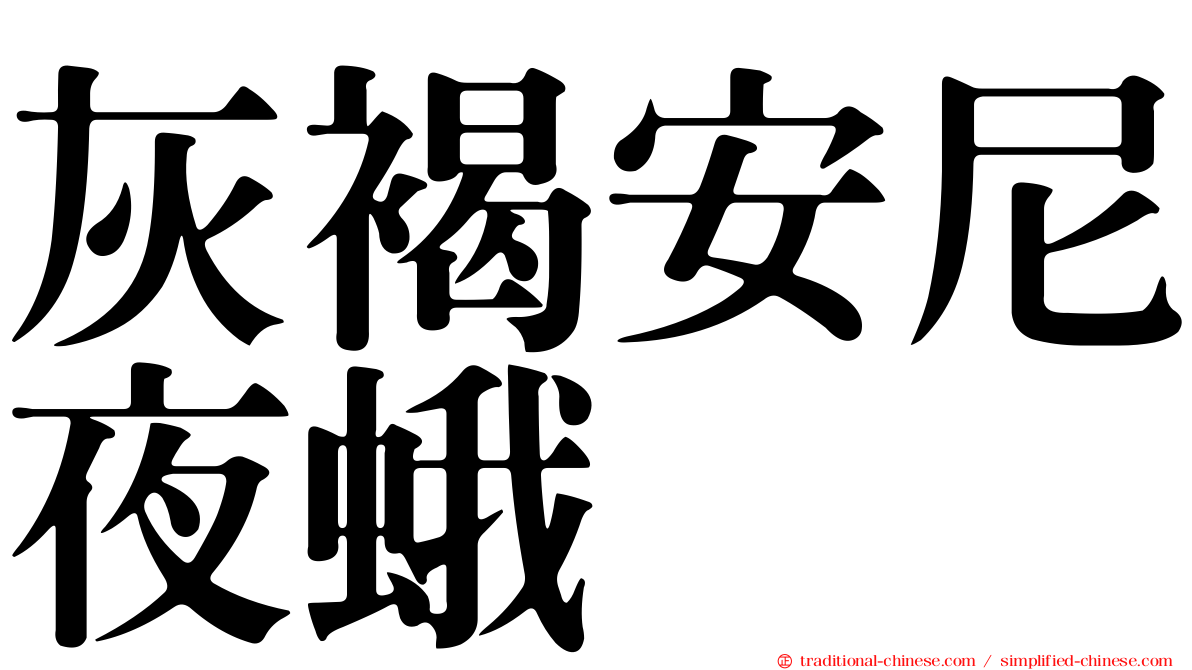 灰褐安尼夜蛾