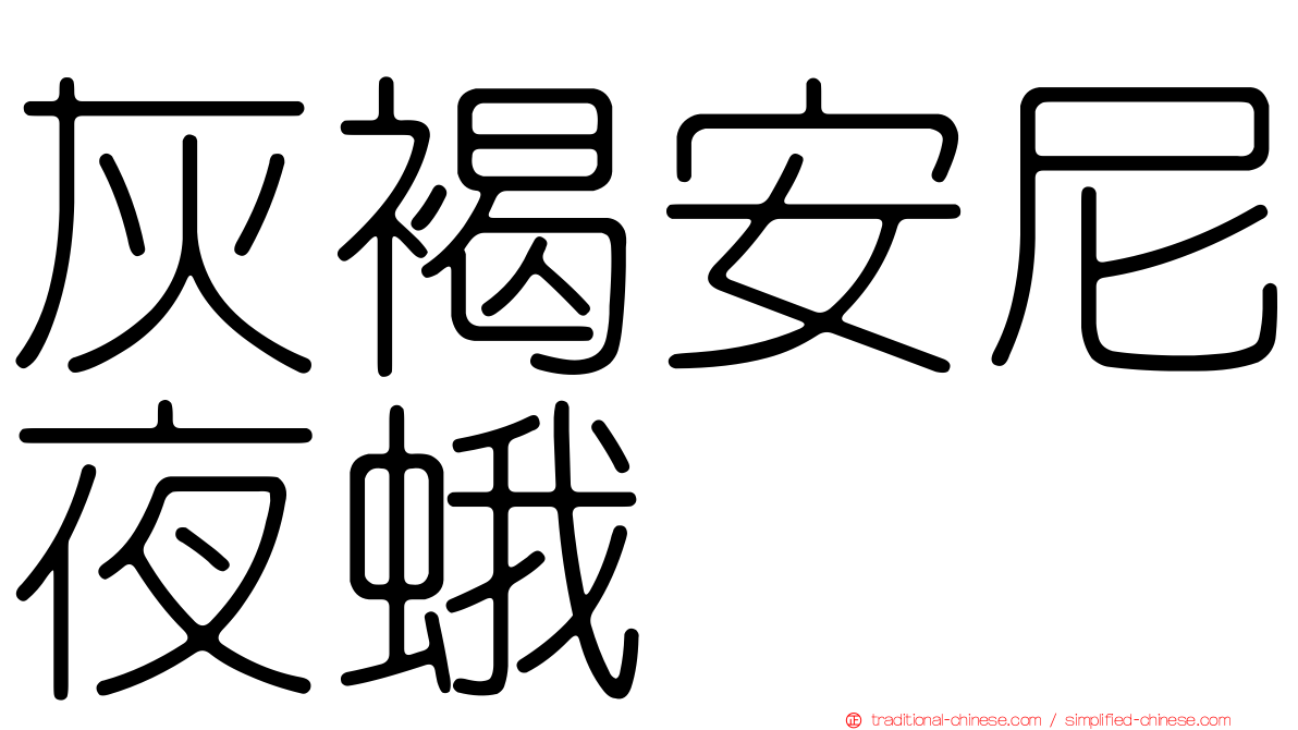 灰褐安尼夜蛾