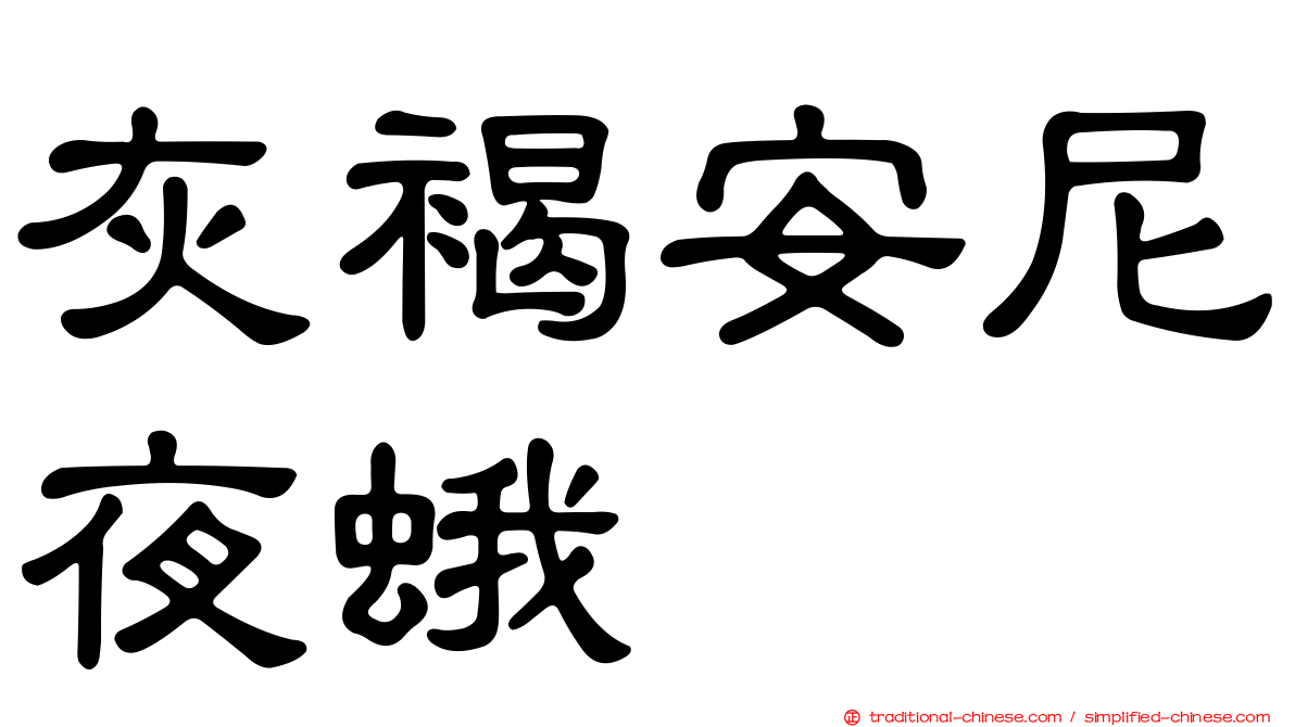灰褐安尼夜蛾
