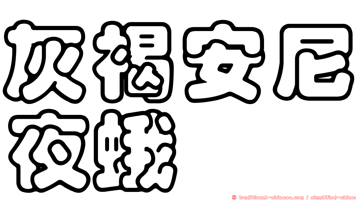 灰褐安尼夜蛾