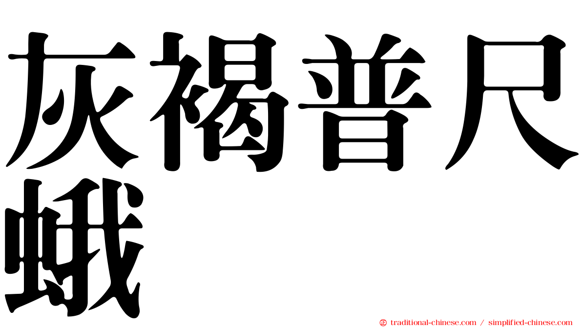 灰褐普尺蛾