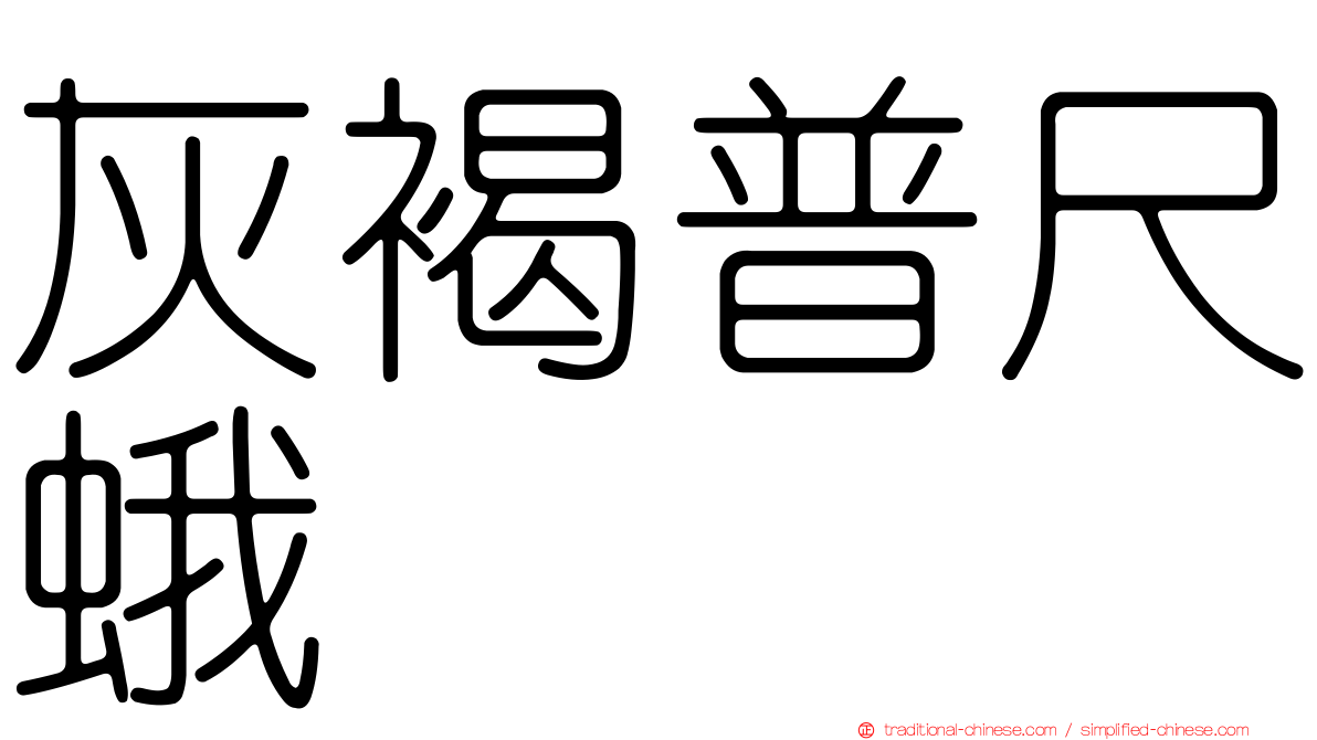 灰褐普尺蛾