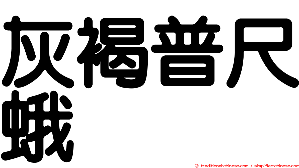 灰褐普尺蛾
