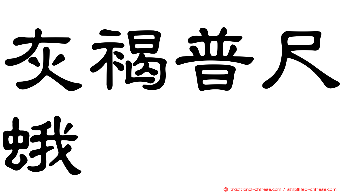 灰褐普尺蛾