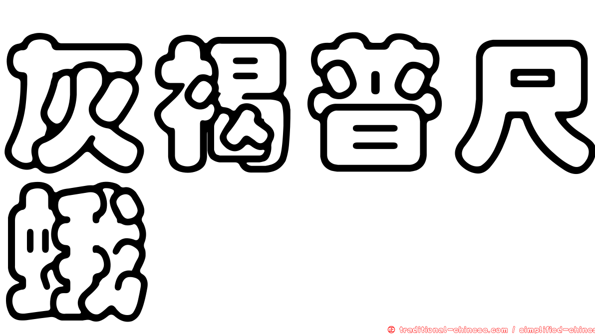 灰褐普尺蛾
