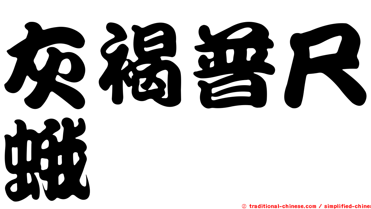 灰褐普尺蛾