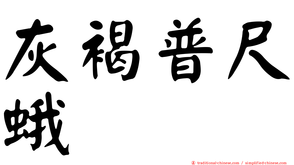 灰褐普尺蛾