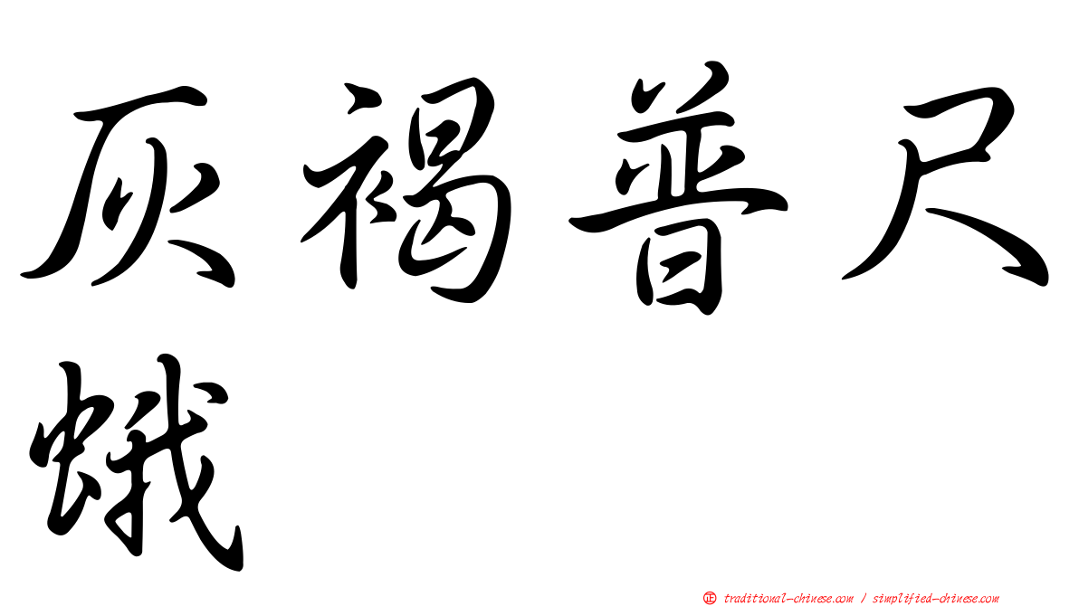 灰褐普尺蛾