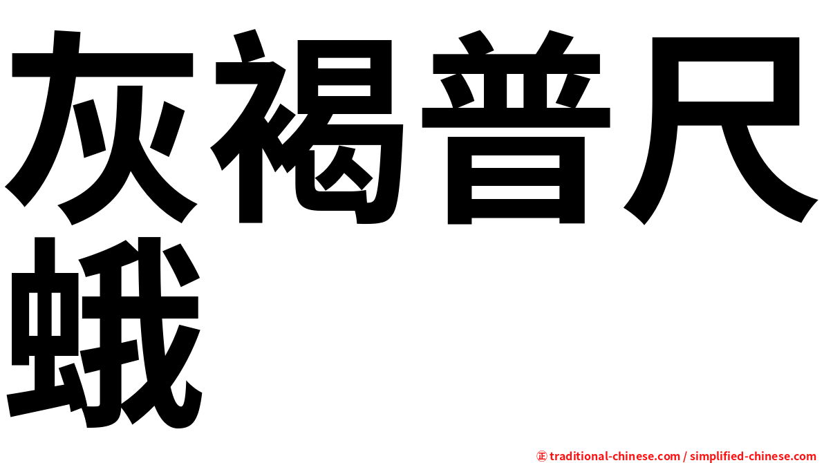 灰褐普尺蛾