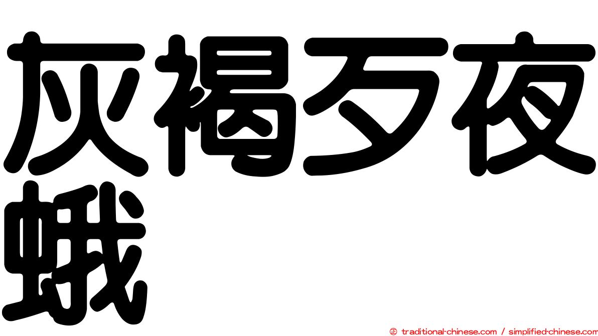 灰褐歹夜蛾