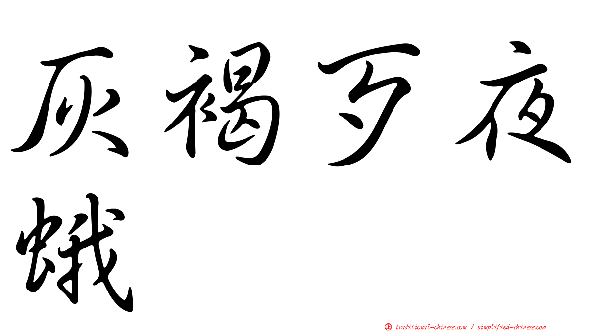 灰褐歹夜蛾