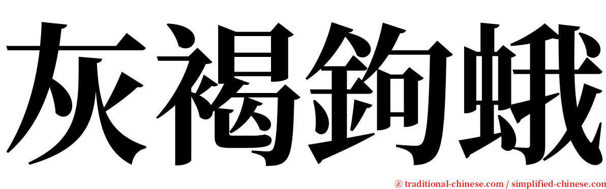 灰褐鉤蛾 serif font